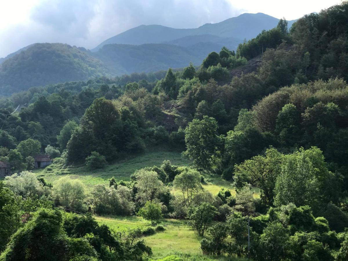 Aphrodite Hills Apartments-Stara Planina Crni Vrh 外观 照片