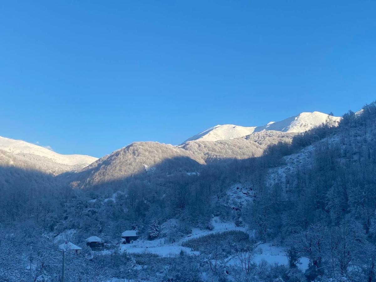 Aphrodite Hills Apartments-Stara Planina Crni Vrh 外观 照片
