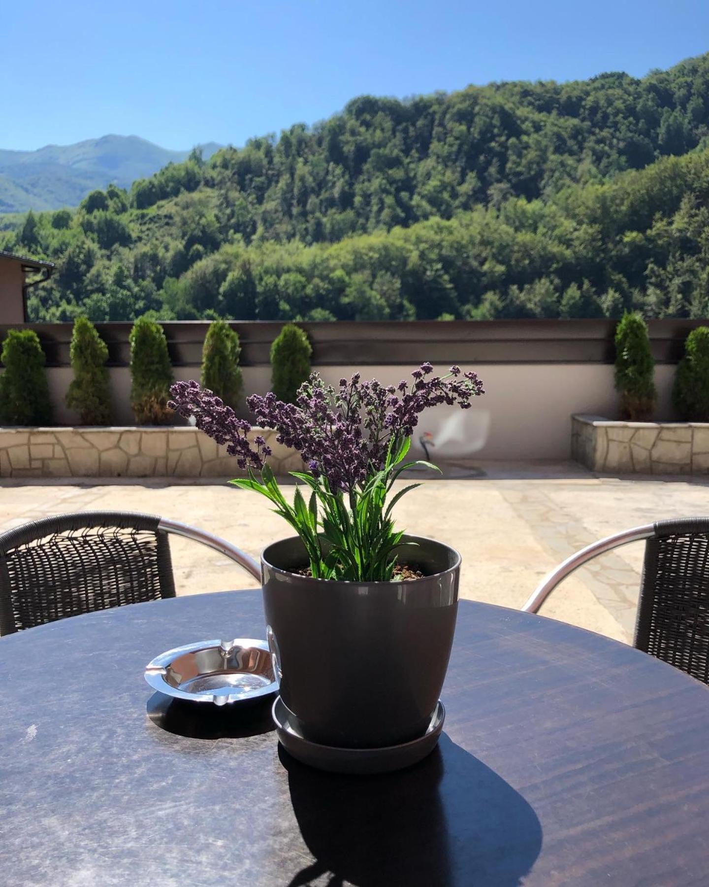 Aphrodite Hills Apartments-Stara Planina Crni Vrh 外观 照片