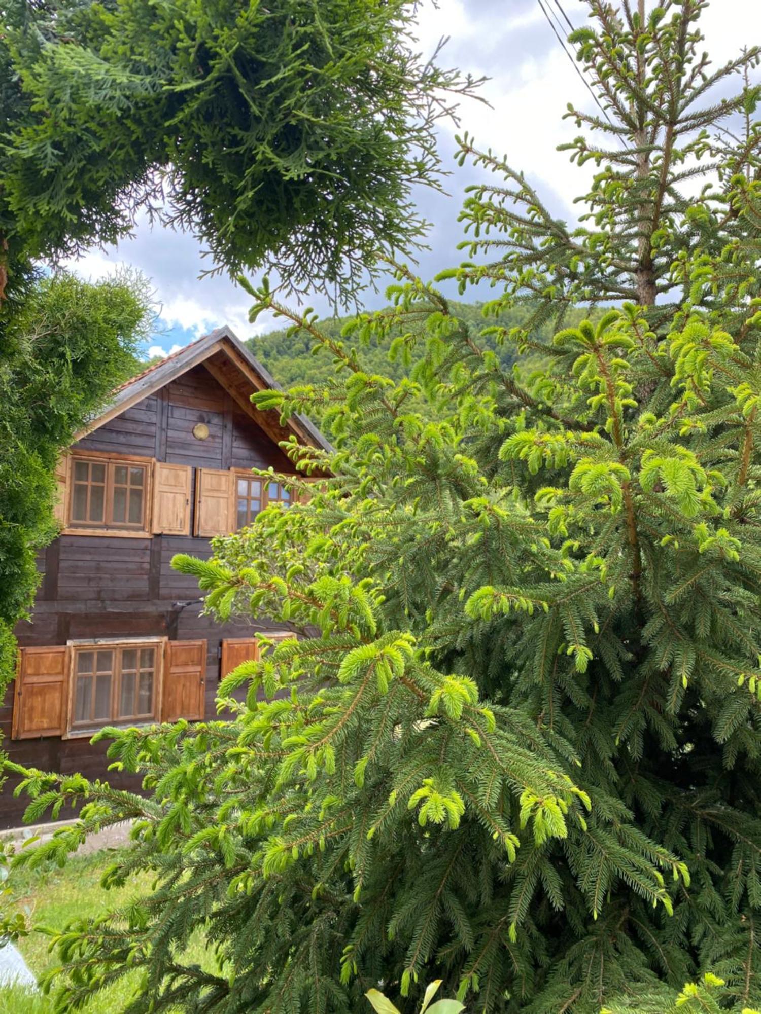 Aphrodite Hills Apartments-Stara Planina Crni Vrh 外观 照片
